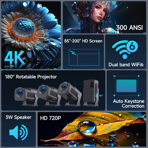Projector features overview